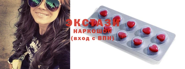 ECSTASY Богданович