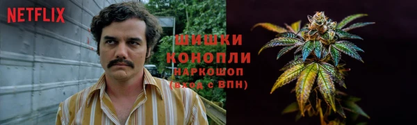 ECSTASY Богданович