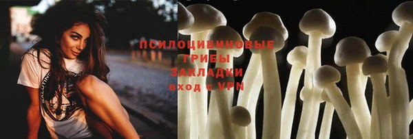 ECSTASY Богданович