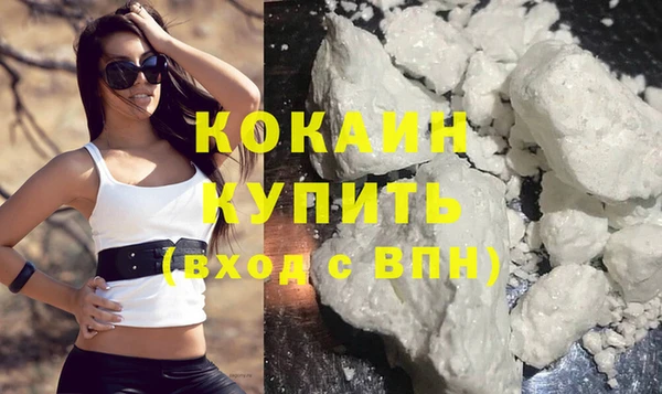ECSTASY Богданович