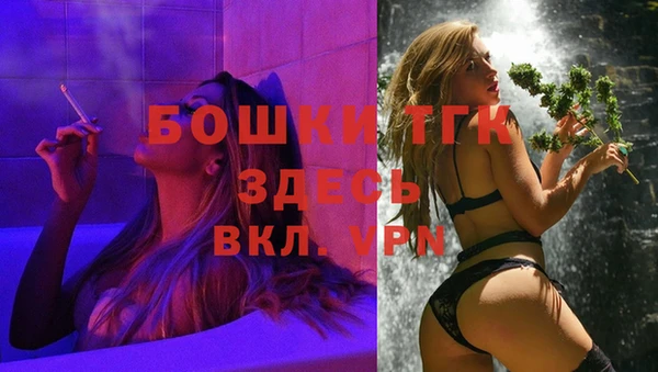 соль ск Вязьма