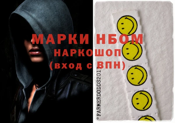 ECSTASY Богданович