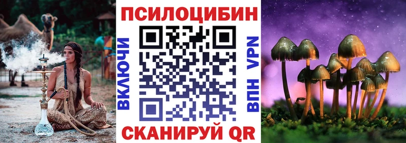 Галлюциногенные грибы Psilocybine cubensis  darknet официальный сайт  Игарка 